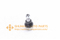 //rqrorwxhrjlnlo5q.leadongcdn.com/cloud/poBpqKplRliSrjlormljj/SSB-H11251220-SYY-010BALLJOINTLOWRL-60-60.jpg