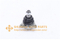 //rqrorwxhrjlnlo5q.leadongcdn.com/cloud/pqBpqKplRliSrjrorllji/SMK469290-MK469290-BALL-JOINT-UP-RL-60-60.jpg